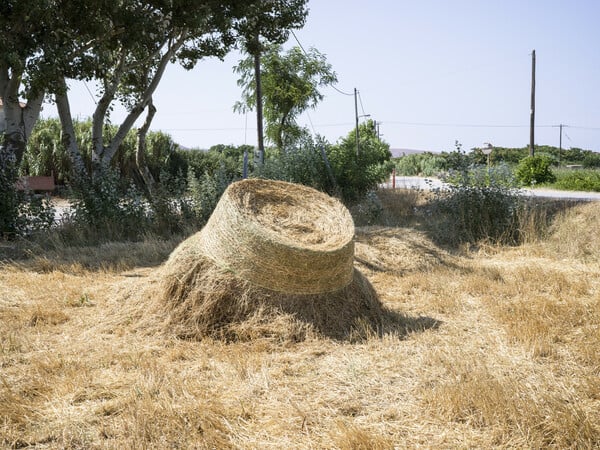 Το καλοκαίρι (16) 