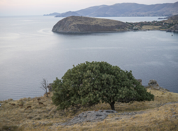 Το καλοκαίρι (0) 