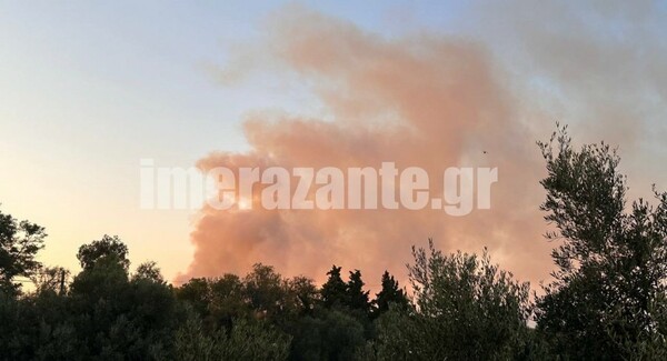 Φωτιά τώρα στη Ζάκυνθο- Κινητοποιήθηκαν και εναέρια μέσα