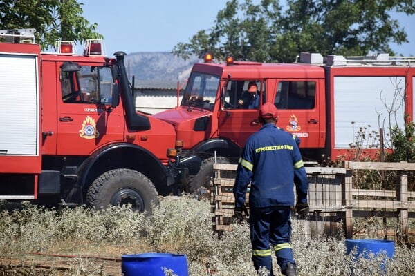 Πολύ υψηλός κίνδυνος πυρκαγιάς αύριο - Αναλυτικά οι περιοχές