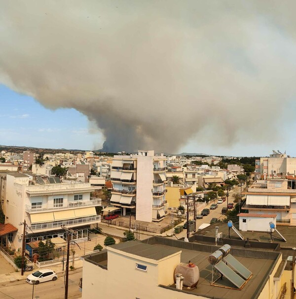 Φωτιά στην Αλεξανδρούπολη: Εκκένωση άλλων 4 οικισμών- Νέο μήνυμα του 112