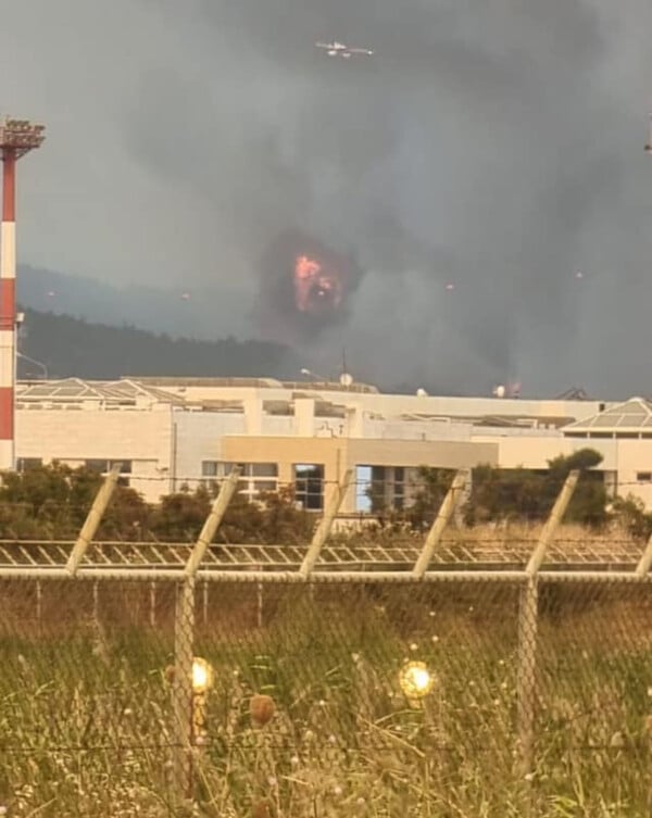 Φωτιά στην Αλεξανδρούπολη: Κάηκαν σπίτια και αυτοκίνητα- «Δεν έχω ξαναδεί τόσο μεγάλο μέτωπο»