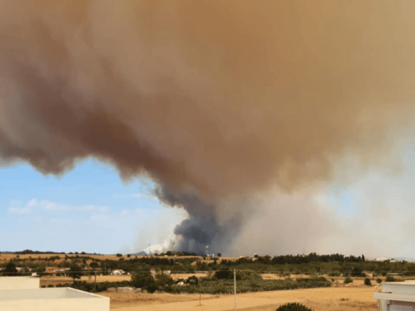 Φωτιά στην Αλεξανδρούπολη: Κάηκαν σπίτια και αυτοκίνητα- «Δεν έχω ξαναδεί τόσο μεγάλο μέτωπο»