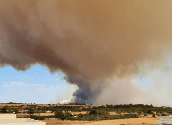 Φωτιά στην Αλεξανδρούπολη: Εκκένωση άλλων 4 οικισμών- Νέο μήνυμα του 112