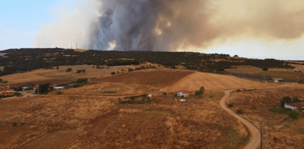 Φωτιά στην Αλεξανδρούπολη: Μπαράζ μηνυμάτων για εκκενώσεις- Σε επιφυλακή το αεροδρόμιο