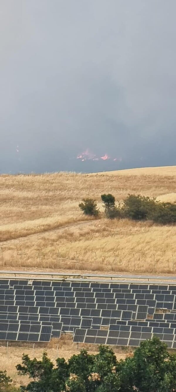 Φωτιά στην Αλεξανδρούπολη: Μπαράζ μηνυμάτων για εκκενώσεις- Σε επιφυλακή το αεροδρόμιο