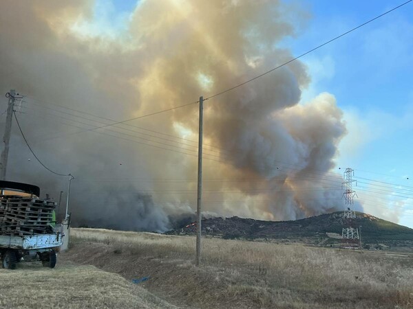 Φωτιά στην Αλεξανδρούπολη: Κάηκαν σπίτια και αυτοκίνητα- «Δεν έχω ξαναδεί τόσο μεγάλο μέτωπο»