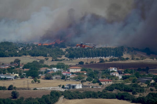 Φωτιά στην Αλεξανδρούπολη: Τα κύρια πύρινα μέτωπα- Ισχυροί άνεμοι και αναζωπυρώσεις