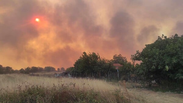 Φωτιά στην Αλεξανδρούπολη: Τα κύρια πύρινα μέτωπα- Ισχυροί άνεμοι και αναζωπυρώσεις