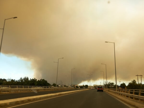 Φωτιά στην Αλεξανδρούπολη: Οδηγίες του Ιατρικού Συλλόγου για πολίτες κοντά στα μέτωπα των πυρκαγιών 