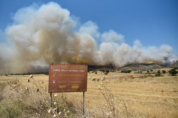 Φωτιά στην Αλεξανδρούπολη: Απανωτά τα μηνύματα από το 112 για εκκενώσεις