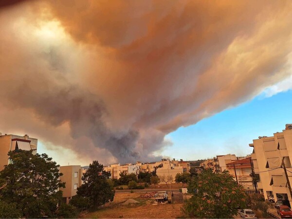 Απόκοσμες εικόνες από τη φωτιά στην Αλεξανδρούπολη- «Χάθηκε» ο ήλιος 