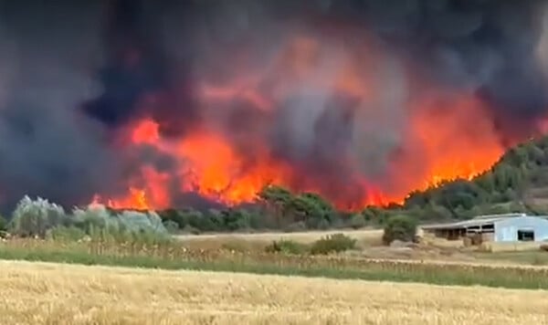 Φωτιά στην Αλεξανδρούπολη: Απειλείται το δάσος της Δαδιάς - «Χιονίζει» στάχτη στο κέντρο της