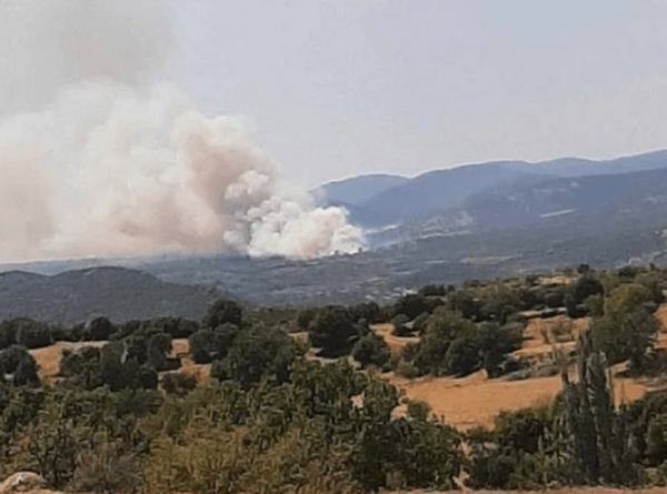 Φωτιά στην Καβάλα: Τραυματίστηκαν πυροσβέστες στην επιχείρηση κατάσβεσης