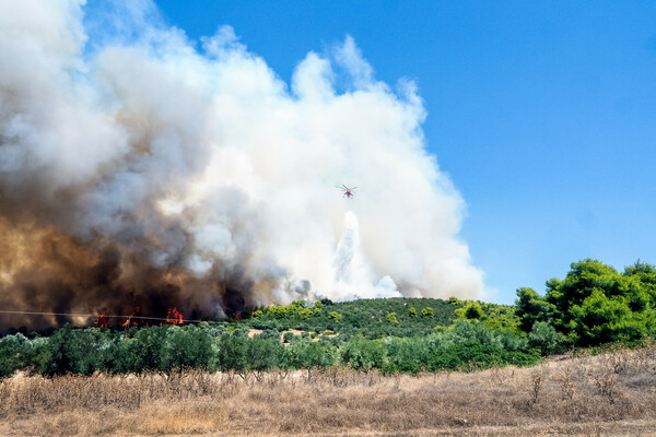 Φωτιές: Σε πύρινο κλοιό η χώρα- Εκκενώσεις χωριών και ένας νεκρός