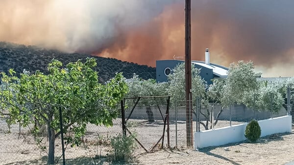 Φωτιές: Σε πύρινο κλοιό η χώρα- Εκκενώσεις χωριών και ένας νεκρός