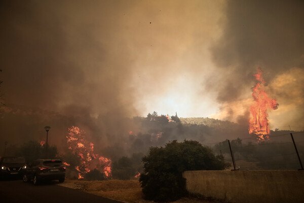 Φωτιές: Πάνω από την Αθήνα ο καπνός- Η μάχη με τις φλόγες σε Φυλή και Ασπρόπυργο