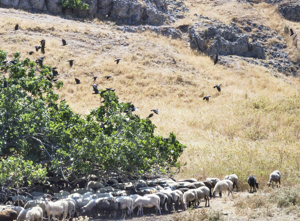 Το καλοκαίρι (24)