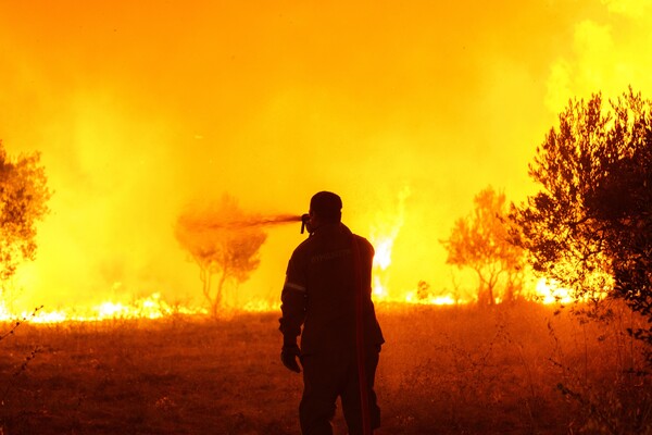 Φωτιά στην Αλεξανδρούπολη: Φωτογραφίες από το πύρινο μέτωπο- Φλόγες παντού