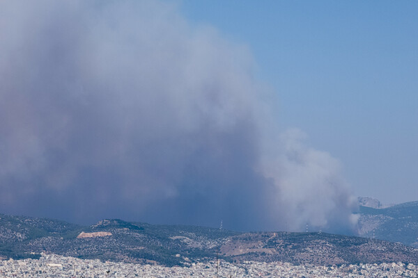 Φωτιές: Πάνω από την Αθήνα ο καπνός- Η μάχη με τις φλόγες σε Φυλή και Ασπρόπυργο