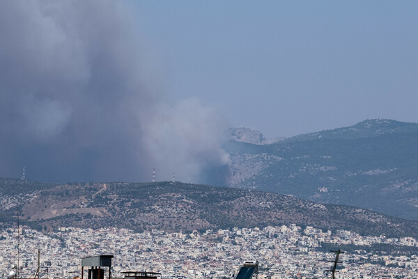 Φωτιές: Πάνω από την Αθήνα ο καπνός- Η μάχη με τις φλόγες σε Φυλή και Ασπρόπυργο