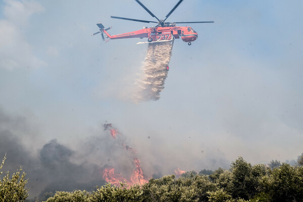 Φωτιά στην Πάρνηθα: Πώς κινείται τώρα το πύρινο μέτωπο