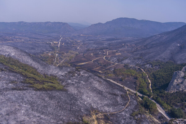 Φωτιά στην Αλεξανδρούπολη: 15 εικόνες από την τεράστια καταστροφή 