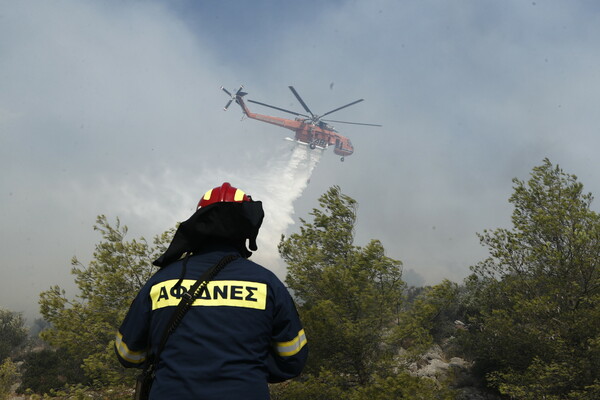 Φωτιά στην Πάρνηθα: Μάχη για να μην περάσει στον εθνικό δρυμό- Οι φλόγες έφτασαν σε σπίτια