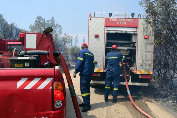 Φωτιά τώρα στην Εορδαία: Καίει πευκοδάσος