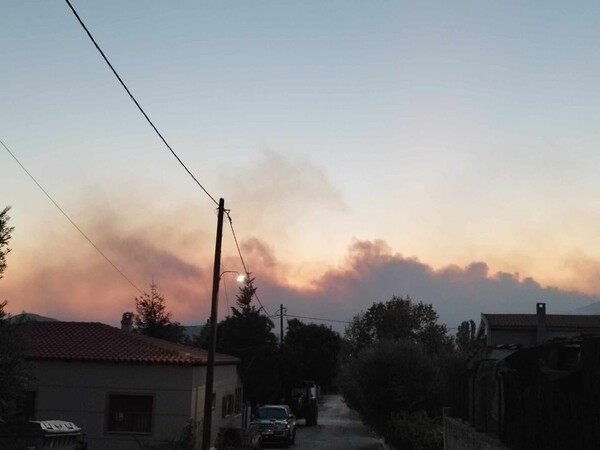 Φωτιές: Μάχη με τον χρόνο στον Έβρο, η κατάσταση στην Άνδρο- 122 πυρκαγιές σε όλη τη χώρα