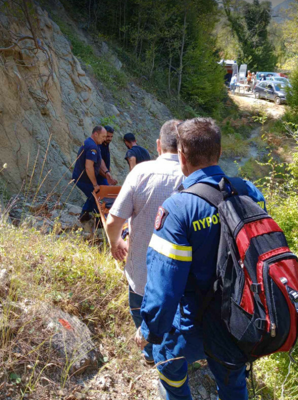 Άρτα: Επίθεση αρκούδας σε άνδρα- Τραυματίστηκε σοβαρά