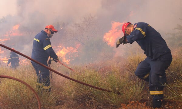 Φωτιές: Αναζωπυρώσεις σε Έβρο και Ροδόπη- Συνολικά 74 πυρκαγιές σε μια μέρα