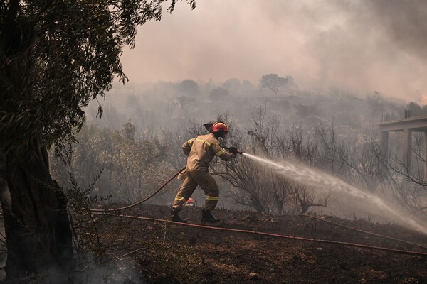 Φωτιά σε Αλεξανδρούπολη και Πάρνηθα- 476 πυροσβέστες στο μέτωπο του Έβρου