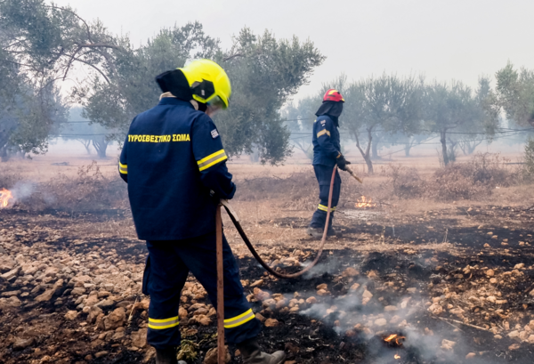 Χωρίς ενεργά μέτωπα η φωτιά στον Έβρο- Επιστρέφουν σπίτια τους οι κάτοικοι της Λευκίμμης