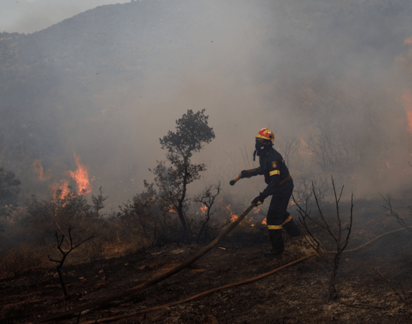 Εντοπίστηκε απανθρακωμένη σορός σε δάσος στα Λεχαινά