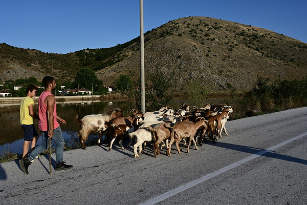 Βλοχός