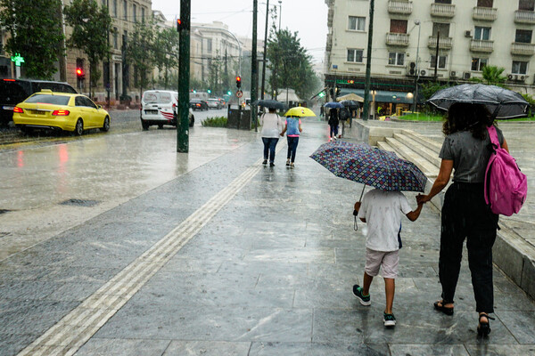 Κολυδάς κατά Μαρουσάκη: 