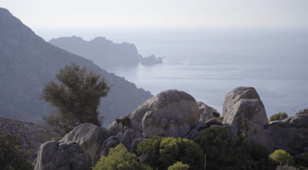 Tilos Artist Residency