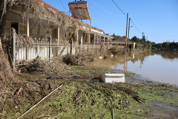 ‘The earth is sick’: Storm Daniel has passed, but Greeks fear its deathly legacy