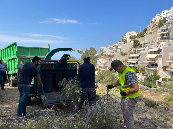 Δάση: διαχείριση και προστασία με χρηματιστήριο ρύπων