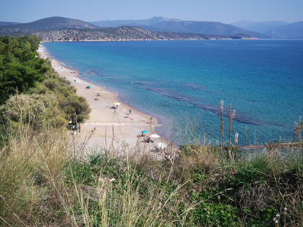 Φθινοπωρινή Ασσίνη