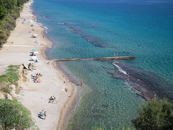 Φθινοπωρινή Ασσίνη