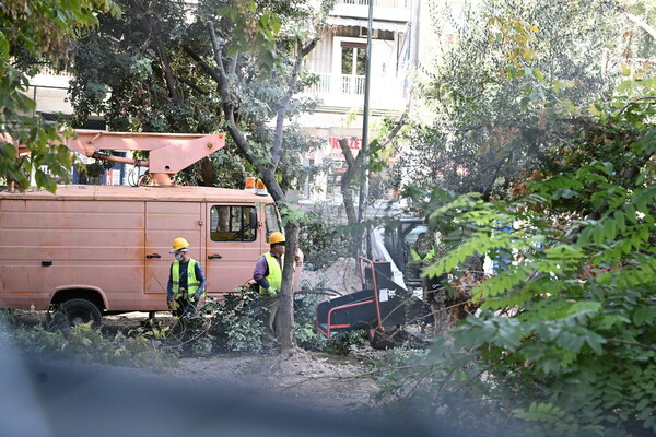 Συνεχίζονται οι αντιδράσεις για την κοπή δέντρων στα Εξάρχεια