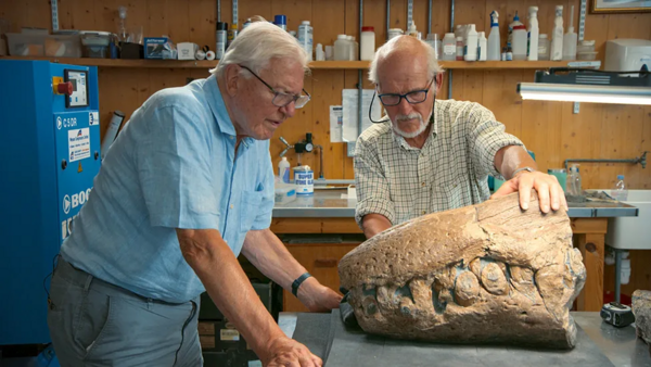 Ανακαλύφθηκε το απολιθωμένο κρανίο ενός τεράστιο θαλάσσιου τέρατος