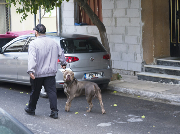 Ο Στέλιος από την Αγία Βαρβάρα