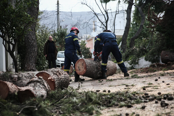 Κακοκαιρία: Τουλάχιστον 485 κλήσεις στην πυροσβεστική για βοήθεια