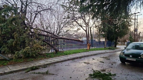 Θεσσαλονίκη: Κλειστά σχολεία λόγω των ισχυρών ανέμων