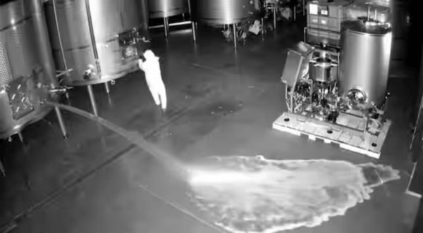 Intruder spills 60,000 litres of wine worth €2.5m at Spanish winery