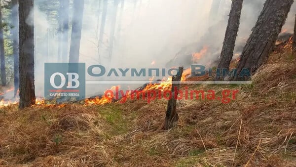 Φωτιά στα Πιέρια όρη - Οι δυσκολίες που αντιμετωπίζει η Πυροσβεστική