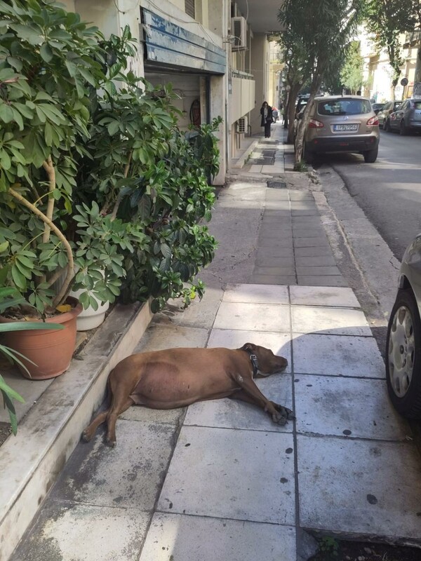 Άνοιξε άνοιξη, άνοιξε τα μάτια σου 